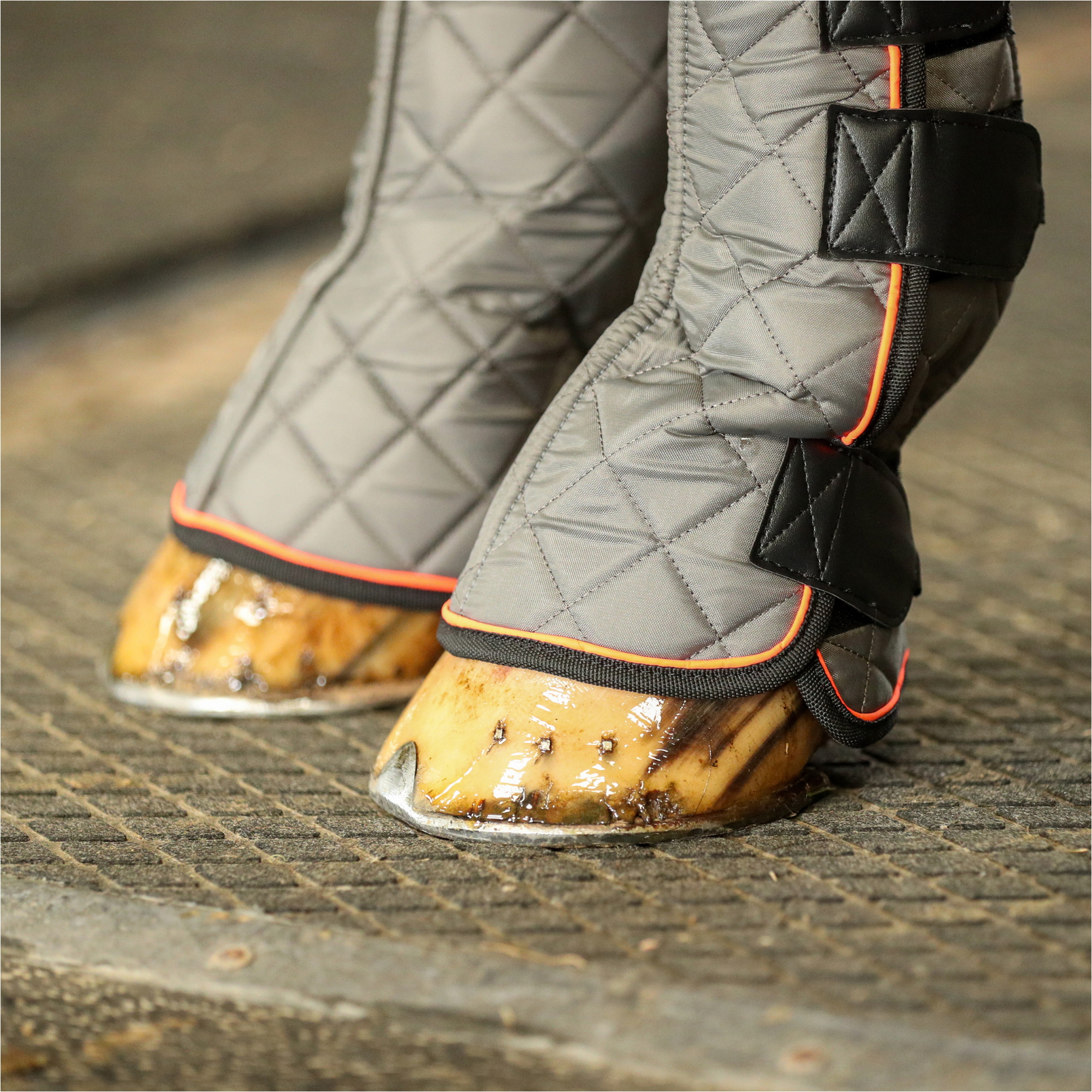 2025 Equilibrium Fore & Knee Magnetic Chaps EQB1006 - Grey / Orange